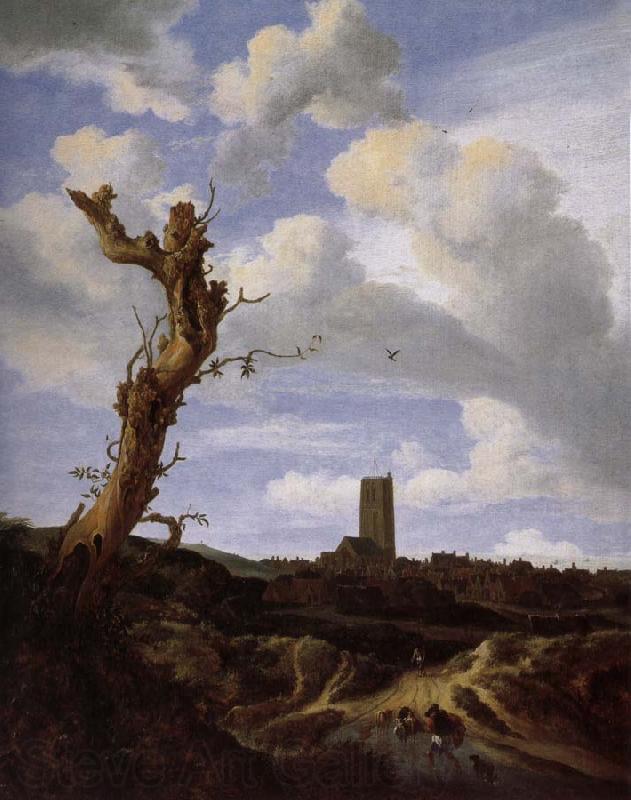 Jacob van Ruisdael View of Egmond aan Zee with a Blasted Elm Spain oil painting art